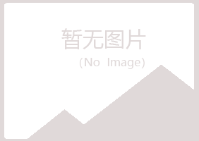 鹤山又菱保险有限公司